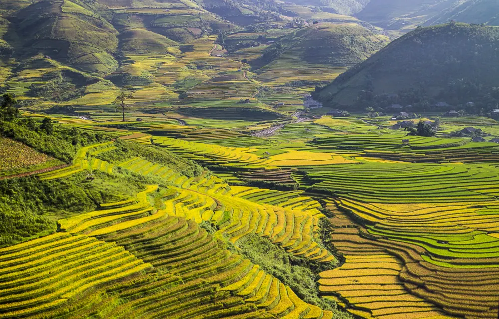 Ruộng bậc thang Mù Cang Chải, Yên Bái